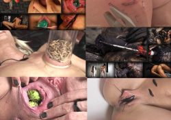 [QueenSnake.com] SITERIP (243 HD) [2009-2020, BDSM, Humiliation, Torture, Pain, 720p, 1080p]